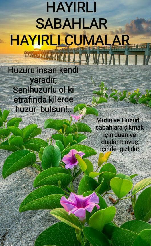 *))
,,,,,Allah'ım!
Bu cuma hürmetine
Her cuma bir huzur,
Her sabah bir umuttur!
Huzurunuz ve umudunuz
Daim.
Yollarımız duâ'ya
Günlerimiz cuma'ya çıkar
Ya Rabb..
'Olsun diye sabırla
Beklediğiniz, tüm duâlar kabul
Olsun, Âmin🤲

#HayırlıCumalarDuâİle🌹
#MutluSabahlar
#Huzurla🌸🍃🌸