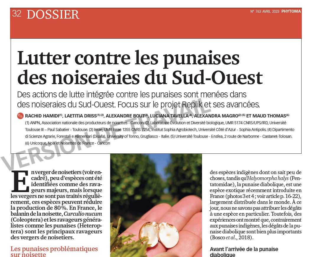 INRAE_Lutte_Bio's tweet photo. Dans ce numéro : 3 participations qui  illustrent la mobilisation d'un large consortium avec entre autre @_Ctifl @invenio_fl @Grab_fr #Aprel #BIK @DISAFA_INT #ANPN et @INRAe contre les punaises Pentatomidae sur cultures
Projets #IMPULsE, #POLcKA, #SUPOR, #REPLIK et #RIPPOSTE https://t.co/HmPgyuLqkt