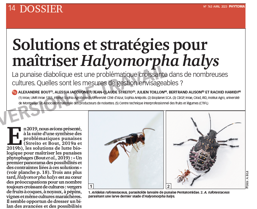 INRAE_Lutte_Bio's tweet photo. Dans ce numéro : 3 participations qui  illustrent la mobilisation d'un large consortium avec entre autre @_Ctifl @invenio_fl @Grab_fr #Aprel #BIK @DISAFA_INT #ANPN et @INRAe contre les punaises Pentatomidae sur cultures
Projets #IMPULsE, #POLcKA, #SUPOR, #REPLIK et #RIPPOSTE https://t.co/HmPgyuLqkt