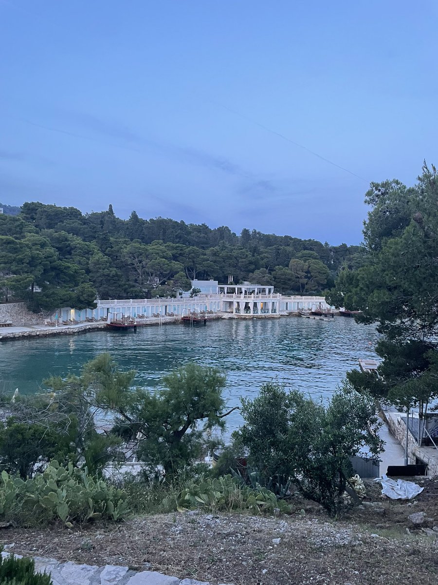 F. Dantzer lab tweet media