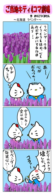 最新のご当地キティ4コマ劇場はあすなろ舎WEBで公開中!  #ご当地キティ #gotochikitty #4コマ漫画 #ハローキティ #キティちゃん #sanrio #hellokitty #北海道ラベンダー #北海道 #ラベンダー #旅行 #凯蒂猫 #헬로키티