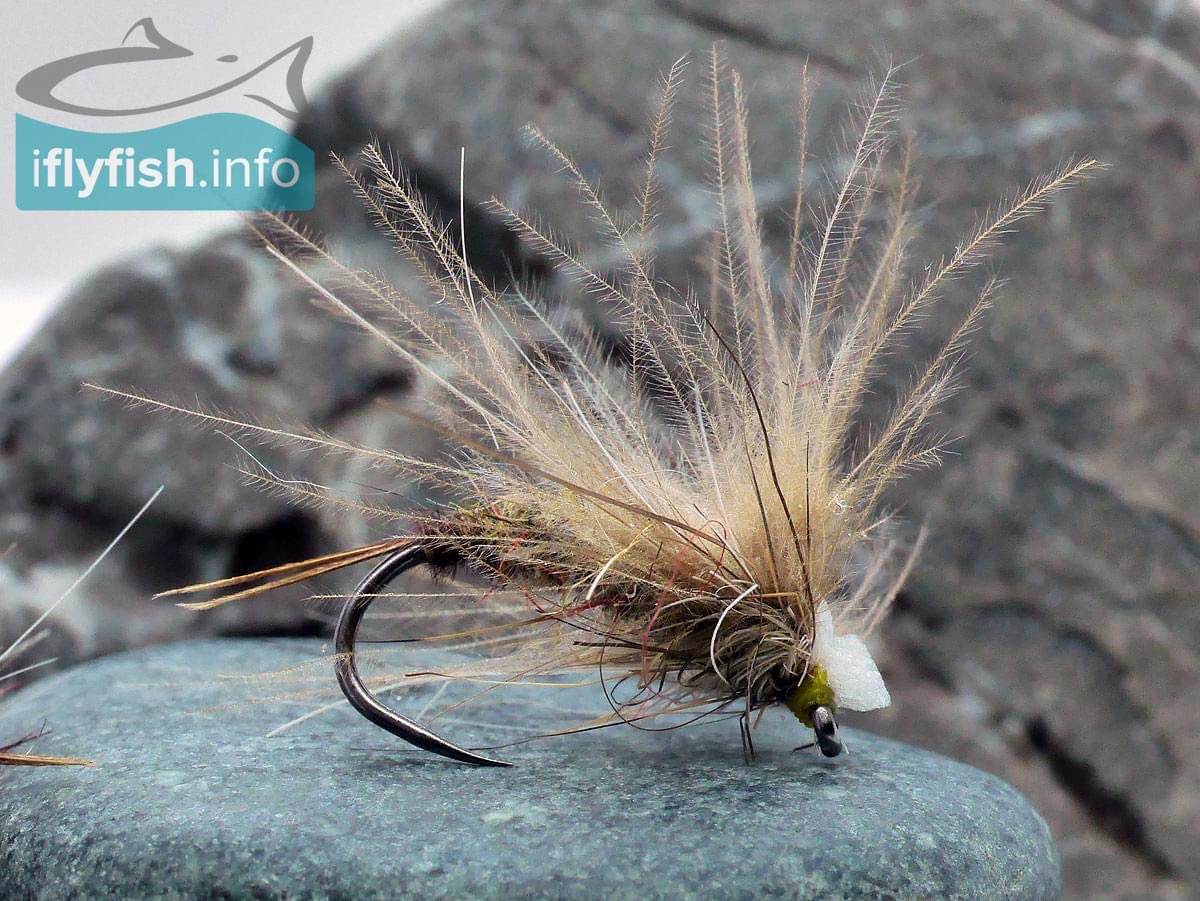 Farewell the Mayfly! Fishing content videos on YouTube, #fishing #flyfishing #flyfishinglife #flyfishinglife #flyfishaddict #flytying #flytyingvideo #flytyingjunkie #flytyingphotography #catchandrelease #buymeacoffee