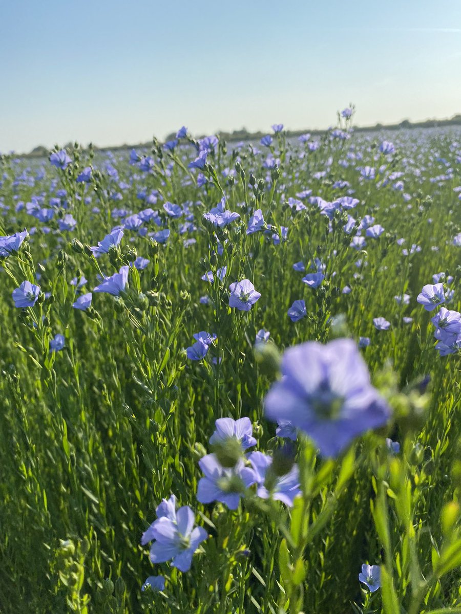 Timmers Agro Service tweet media