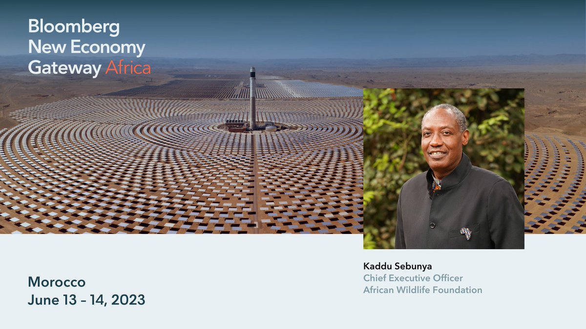 I am looking forward to speaking at the inaugural @BBGNewEconomy #NewEconomyGateway Africa in Morocco next week where I will join global leaders in discussing solutions to the most pressing challenges facing #Africa's economy. Watch the live stream here,  bloombergneweconomy.com/gateway-africa…