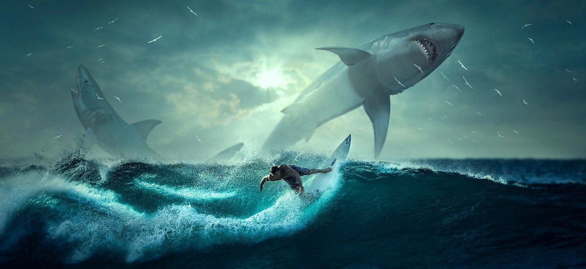 3DVirals's tweet photo. The Russian man killed in a shark attack off Egypt’s Red Sea resort

Get the details at https://t.co/iAzZ90AMm3

#SHARKATTACKS #RUSSIANMAN #SHARKATTACKOFFRUSSIANMAN #SHARKATTACKTHISYEAR https://t.co/01dpd79KH8