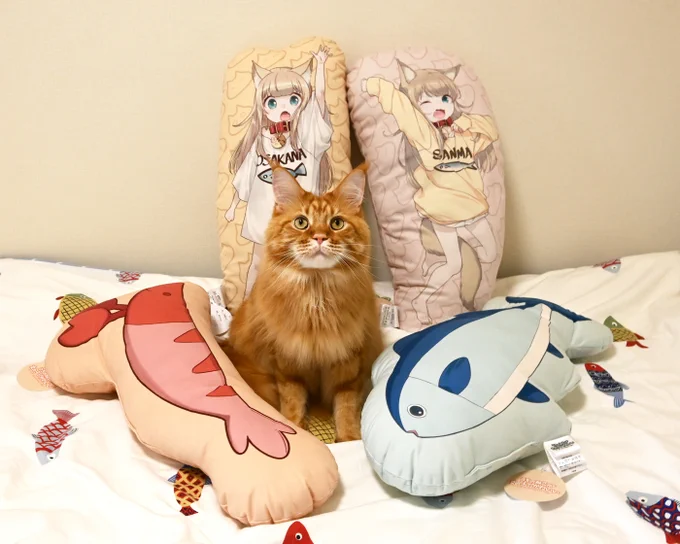 大きくて肌ざわりも最高なのでとってもおススメ٩( `ω' )و ダイカットクッションは店舗限定なので気になる方はお早目に…! #しまむら #うちのねこが女の子でかわいい