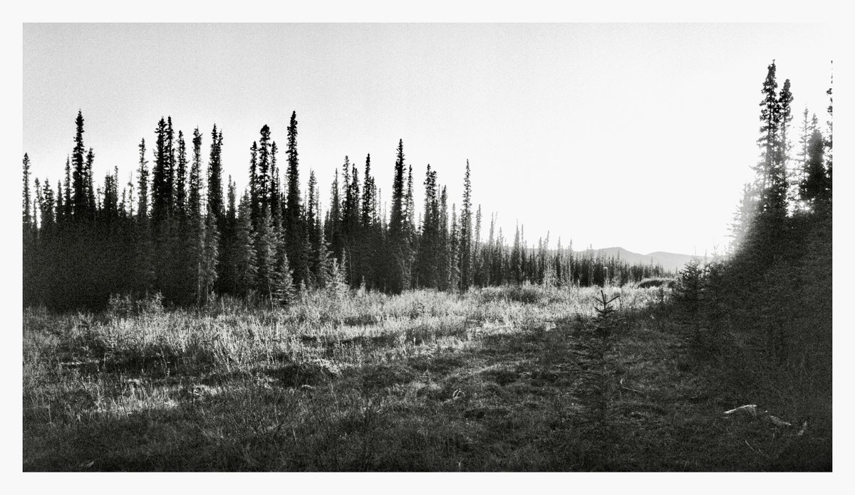 Down the line. 

📷 Fuji GS645W
🎞️ @ILFORDPhoto HP5 @ 800
👓 Tiffen Yellow #15
📍 Whitehorse, The Yukon

#believeinfilm