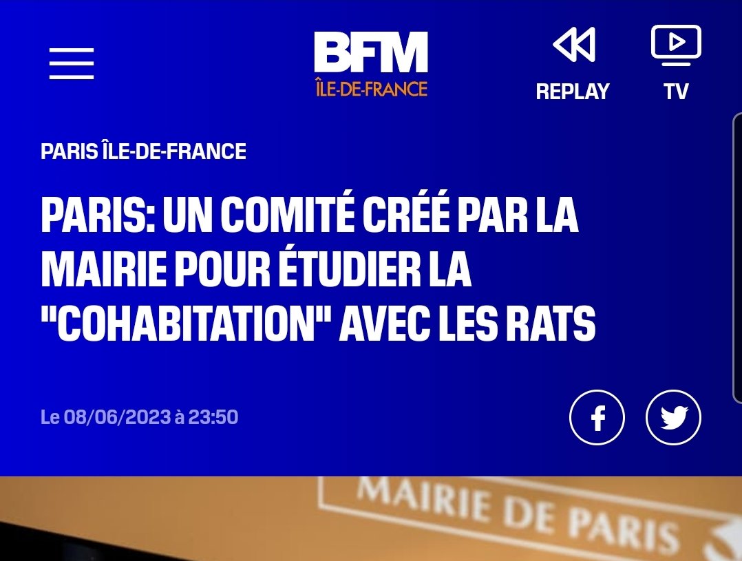 vivien_hoch's tweet photo. Anne Hidalgo va créer un comité pour étudier la “cohabitation” avec les rats. 

Désolé mais je me casse de cette ville asap avec toute ma famille.

 Ciao les tarés. https://t.co/fnaul6y1le