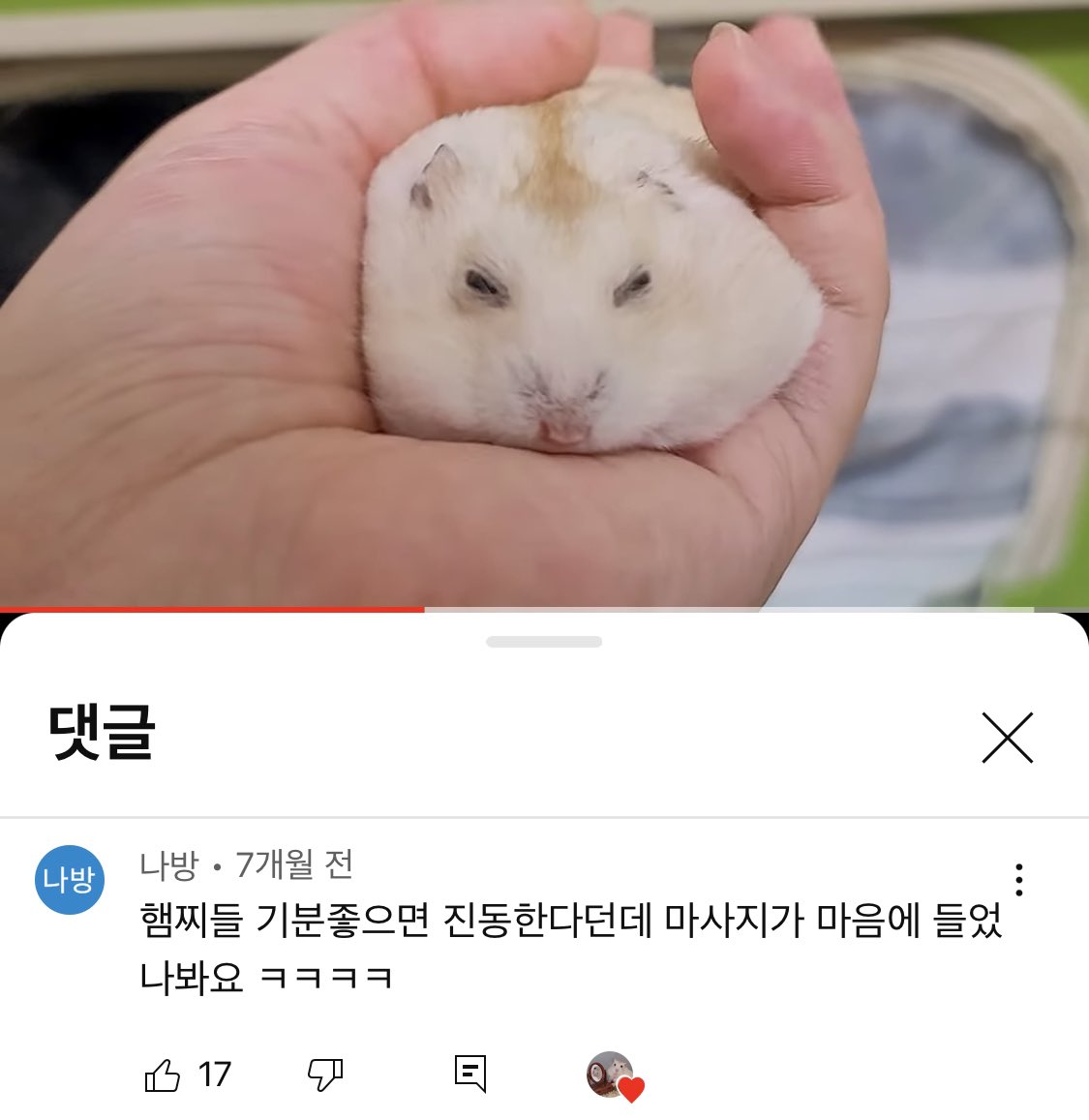 유툽보다가 이유를 알아버림 ㅠㅠ
햄스터는 기분이 좋으면 몸을 부들부들 떤대요
