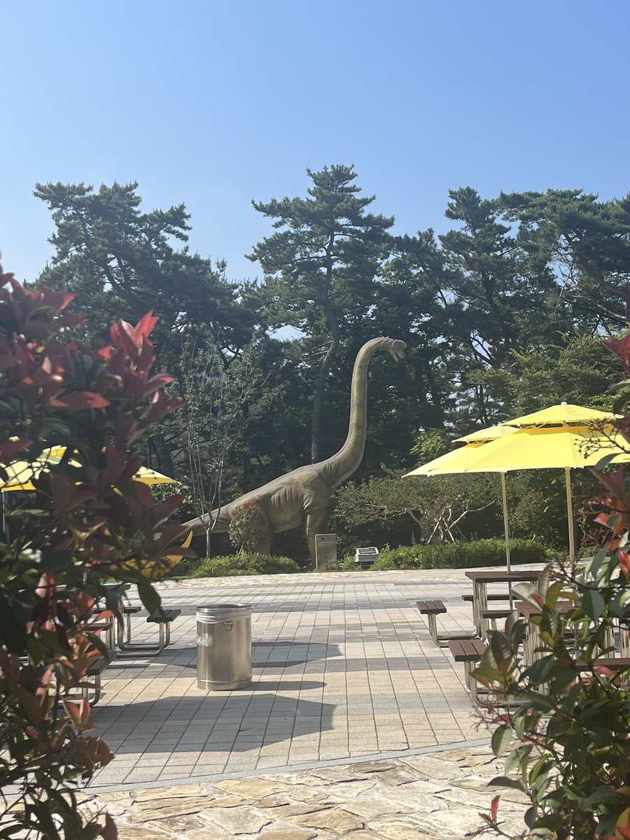 iriwinfna's tweet photo. Dinosaurs in Busan, one’s undergoing surgery, @ariga_megamix might enjoy 😂 https://t.co/t67L4HG2TN