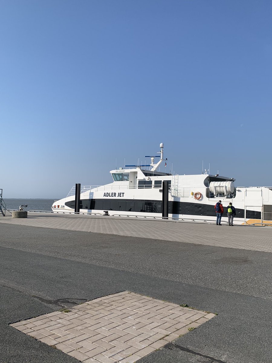 Robert E. Rollins tweet media