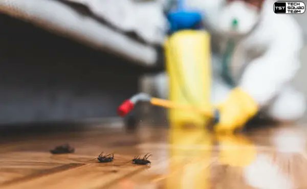 Problem pests and how to control them thehomesteadsurvival.com/problem-pests-…