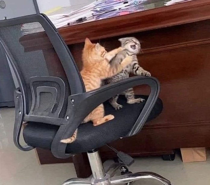 Bugün gördüğüm en tatlı fotoğraf 🥰