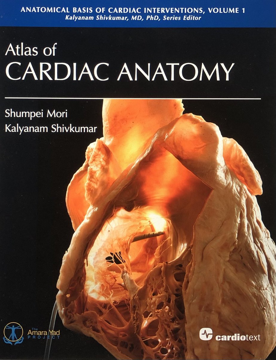 The best things in life are free… This anatomy atlas by @shivkumarmd can be found at cardiotext publishing for free. Really good for EPs as it incorporates the heart from standard fluoroscopy views. @aalahmadmd @AMussigbrodtMD @ChristianHeeger @vlachoskonstan1 @jeffrey_vinocur