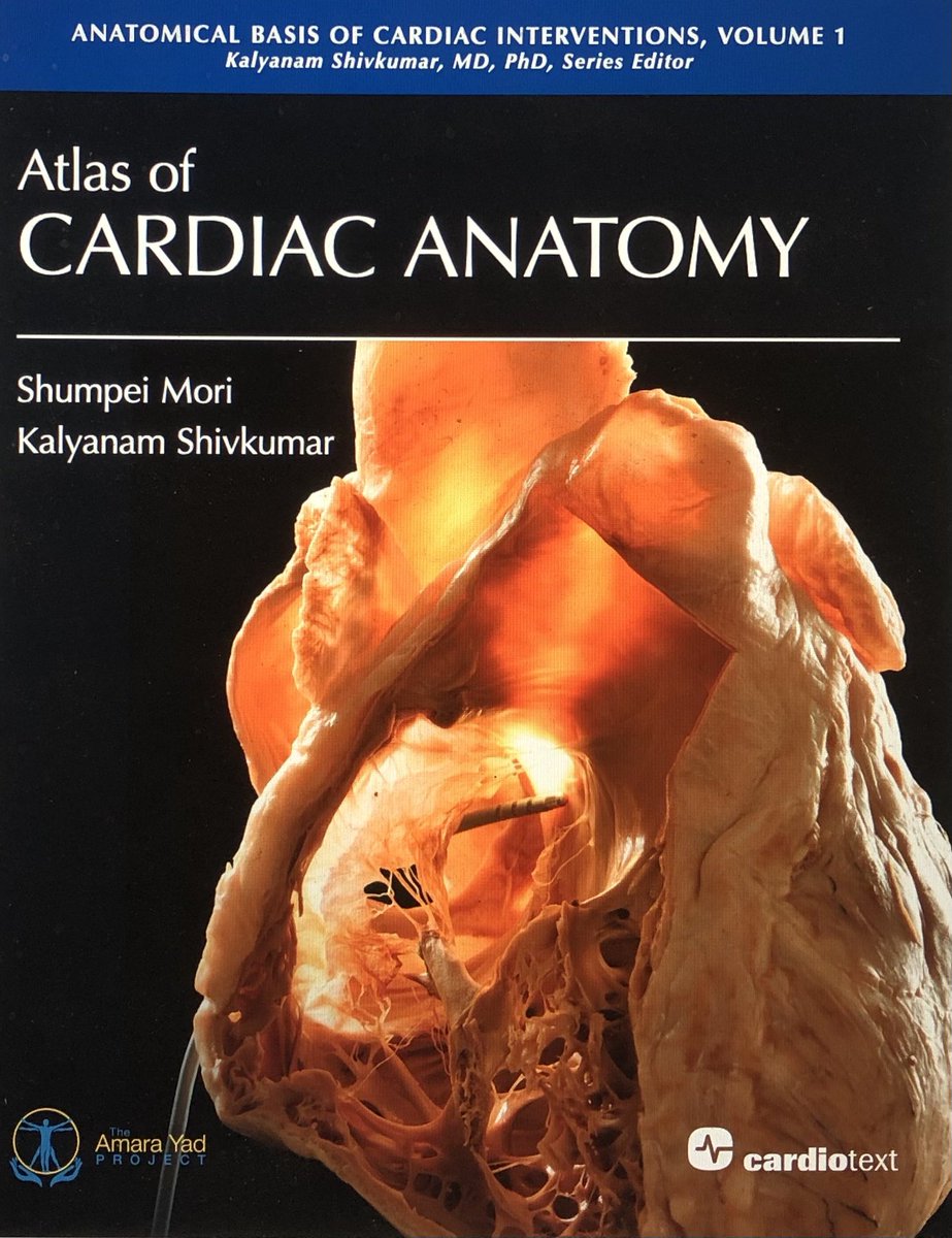 Chris Kowalewski MD (@c_kowalewskimd) on Twitter photo The best things in life are free…
This anatomy atlas by <a href="/shivkumarmd/">Kalyanam Shivkumar MD PhD</a> can be found at cardiotext publishing for free. Really good for EPs as it incorporates the heart from standard fluoroscopy views.
<a href="/aalahmadmd/">Amin Al-Ahmad, MD</a> @AMussigbrodtMD <a href="/ChristianHeeger/">Christian-H. Heeger</a> <a href="/vlachoskonstan1/">Konstantinos Vlachos</a> <a href="/jeffrey_vinocur/">Jeffrey M Vinocur</a> The best things in life are free…
This anatomy atlas by <a href="/shivkumarmd/">Kalyanam Shivkumar MD PhD</a> can be found at cardiotext publishing for free. Really good for EPs as it incorporates the heart from standard fluoroscopy views.
<a href="/aalahmadmd/">Amin Al-Ahmad, MD</a> @AMussigbrodtMD <a href="/ChristianHeeger/">Christian-H. Heeger</a> <a href="/vlachoskonstan1/">Konstantinos Vlachos</a> <a href="/jeffrey_vinocur/">Jeffrey M Vinocur</a>