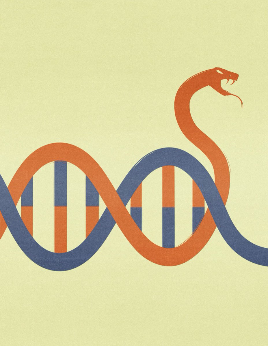 Could ancient virus-like elements in our DNA be responsible for Alzheimer’s disease?

For Rotary magazine
AD Jacqueline Cantu