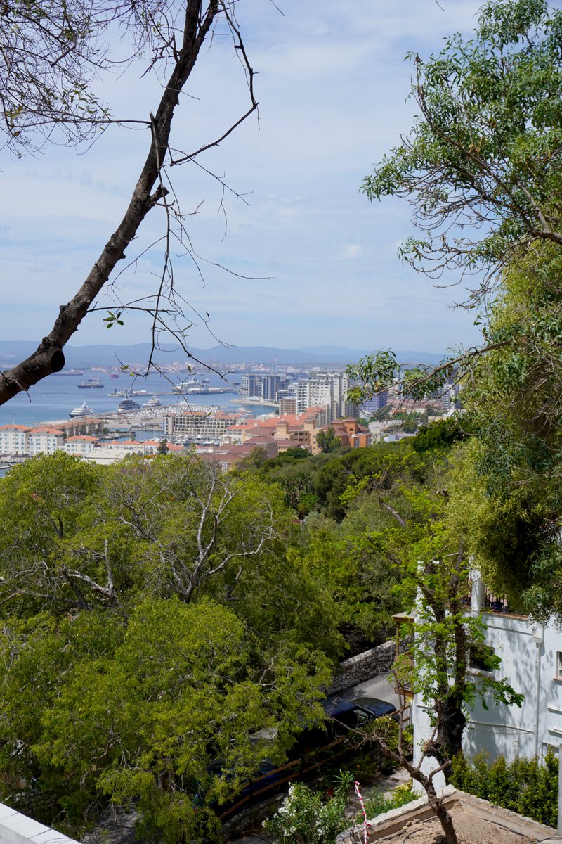 Hello Friday!🙂 Have a great day! Gibraltar Weather 09 June 2023 Sunrise 07:04🌞/ Sunset 21:37🌝 Cloudy/Light Rain 19°/23° Humidity 67% See the weather for the next few days whatsoningibraltar.com/weather #gibraltar #gib #gibraltarweather #visitgibraltar #whatsoningibralt