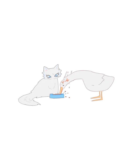 ケモ