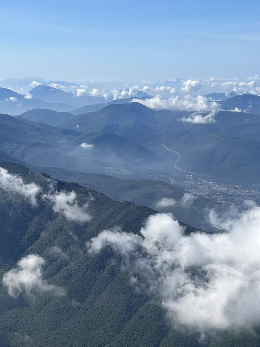 Judith Anton tweet media