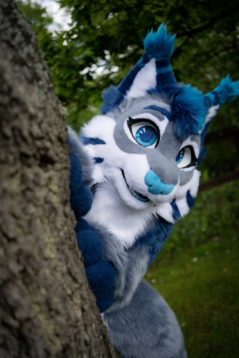 Faye! ↗️ fayefranzen.bsky.social tweet media