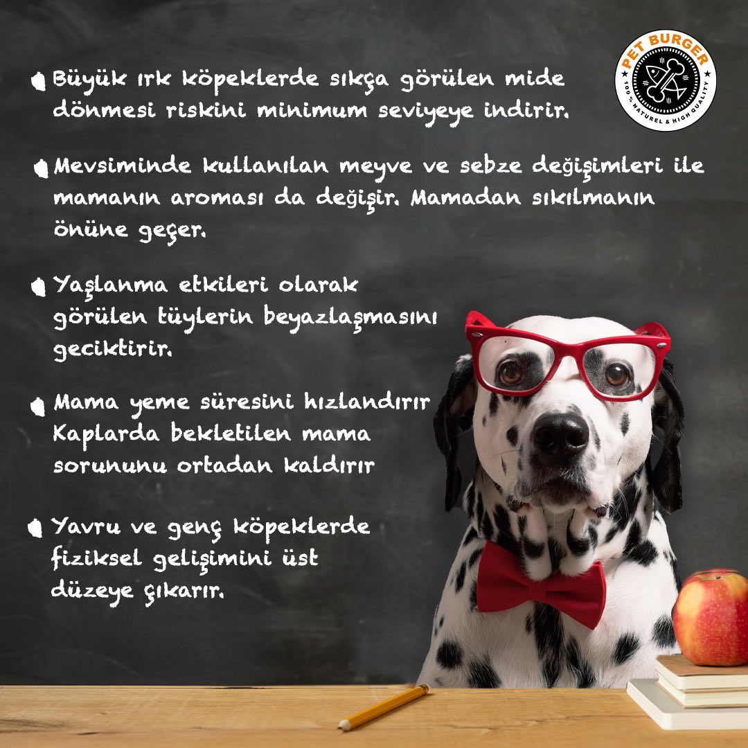 Bugün dersimiz: Çiğ mamalar ve sağladığı faydalar. Patili dostlarımız sizin için bu konuyu işledi daha fazla bilgilendirme için postu yana kaydır! 👉🏻PETBURGER EN İYİ EN SAĞLIKLI ÇİĞ MAMA!🧡 🐶🐈
#PetBurger #DogBurger #CatBurger #Raw #Barf #ÇiğBeslenme #EnSağlıklıBeslenme
#RawFood