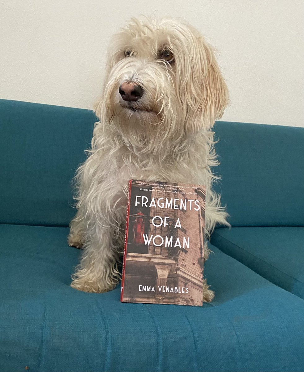 ‘This novel is brilliant. You should read it, especially page 267 because I get a mention’ - Otto, aged 3. 

Fragments of a Woman is available in all the usual bookish spots! 

#HistoricalFiction #novel #debut #WorldWarTwo #Berlin #amreading