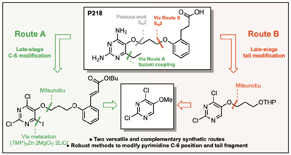 My first paper related to my Ph.D. project is finally out at J. Org. Chem.! @JOC_OL 📢🚨 

We developed two synthetic routes to access the antimalarial diaminopyrimidine P218 based on the C-6 metalation of 2,4-dichloropyrimidines. 

👉pubs.acs.org/doi/pdf/10.102…