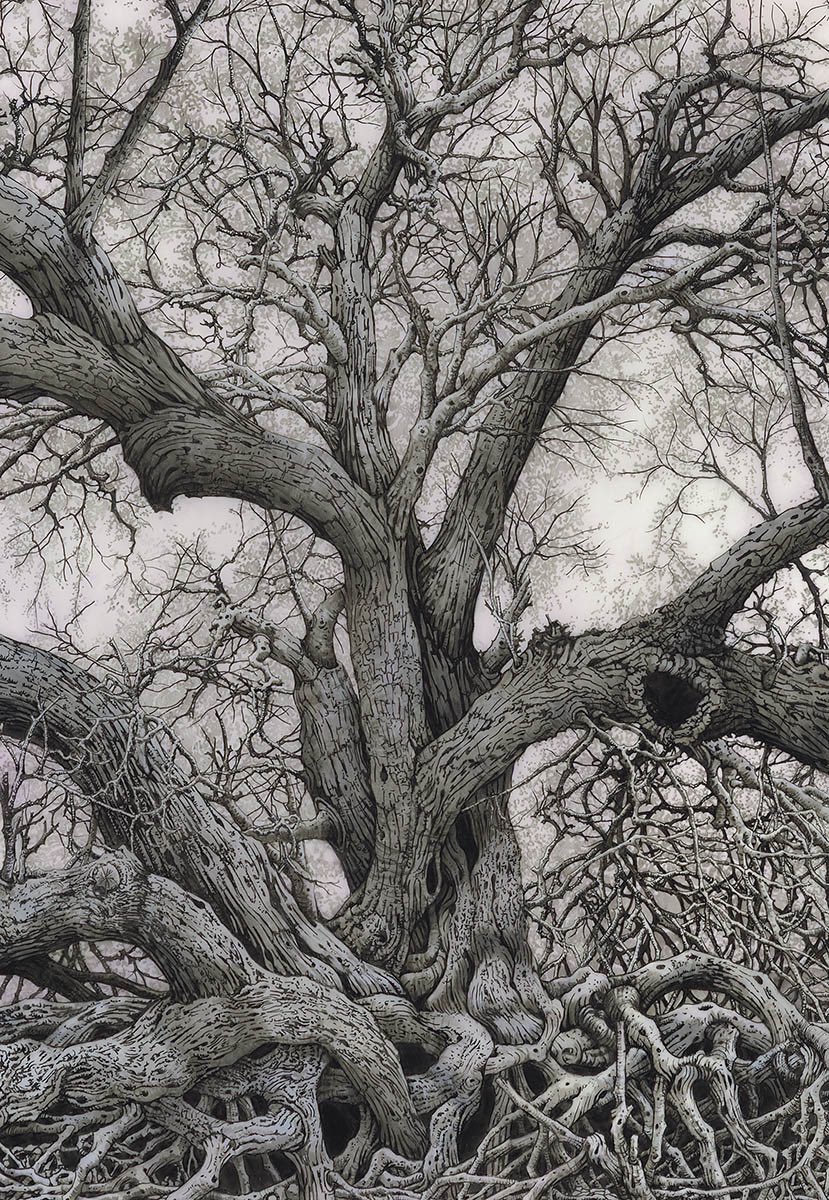 GM! ✍️Detail from “Gateway” 
🎉Auction live @makersplace!! Thank you <a href="/basileus_eth/">Basileus 🕊️</a> for kicking it all off✨