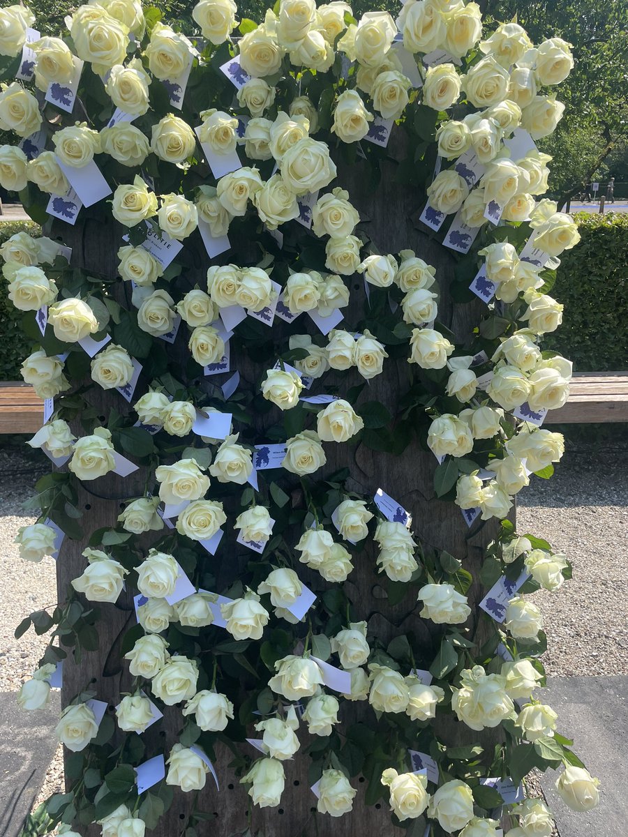 Gisteren, herdachten we alle politiemensen  die tijdens hun werk door geweld of een ongeval zijn overleden. Mooie herdenking! Politiewerk kent risico’s en soms gaat het vreselijk mis. 💙voor alle politiemensen die we moeten missen uit ons midden. #cor #politie #tuinvanbezinning