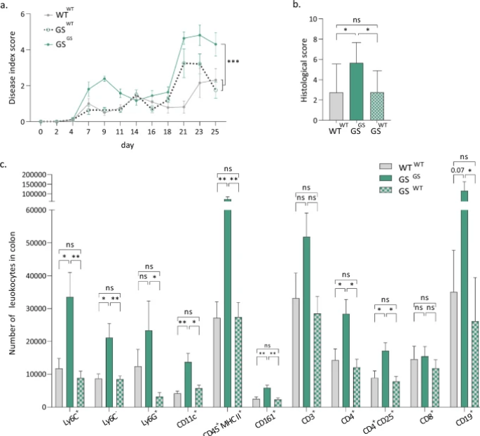 The Science of Parkinson's (@scienceofpd) on Twitter photo New paper from <a href="/VBaekelandt/">Veerle BAEKELANDT</a> et al finds #Parkinsons-associated LRRK2-G2019S variant significantly increases the disease phenotype & inflammatory response in a mouse model of experimental colitis (DSS); Bone marrow transplantation of WT cells rescues this
link.springer.com/article/10.100… New paper from <a href="/VBaekelandt/">Veerle BAEKELANDT</a> et al finds #Parkinsons-associated LRRK2-G2019S variant significantly increases the disease phenotype & inflammatory response in a mouse model of experimental colitis (DSS); Bone marrow transplantation of WT cells rescues this
link.springer.com/article/10.100…