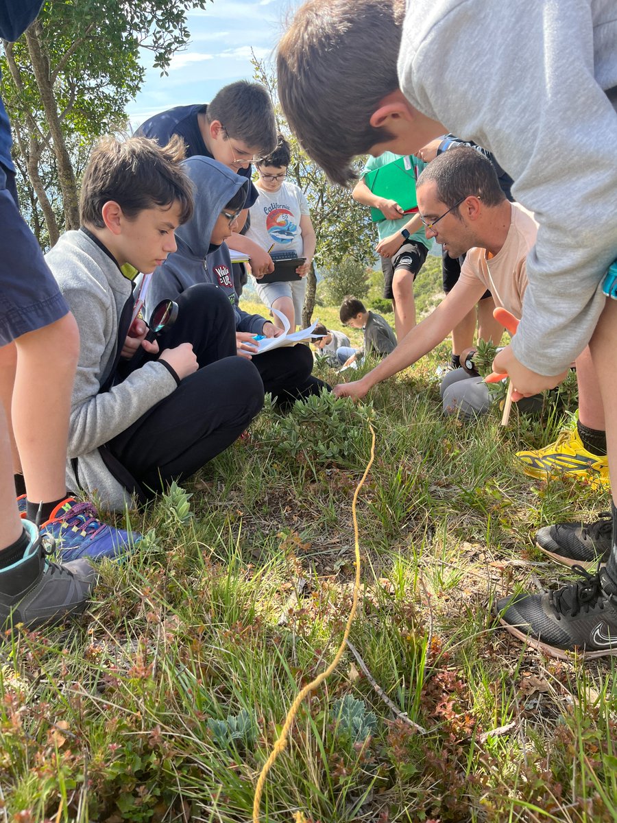 CREAF_ecologia's tweet photo. Ahir vam portar la #CiènciaCiutadana a #Montserrat!🥰 Les aules de l'@EscolaniaMont van sortir al camp, on l'alumnat va aprendre un munt de coses a través de l'acompanyament que coordinem amb Escoles Verdes!  Mireu quin goig de paisatge i quin grup més implicat! 😍🌱💚 https://t.co/H4QXibAetn