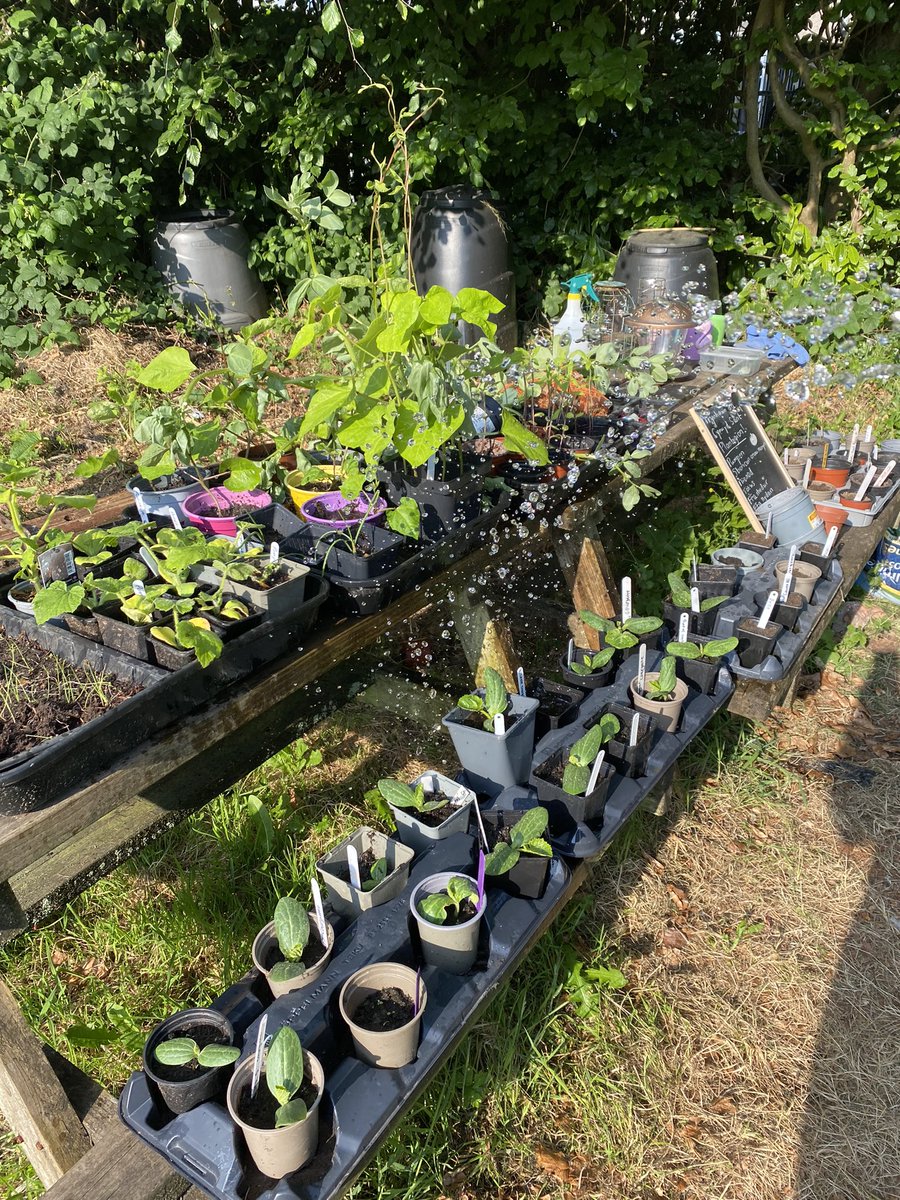 Great to see a fantastic variety of plants planted by <a href="/ysgolcynwydsant/">Ysgol Cynwyd Sant</a> at our Community Garden