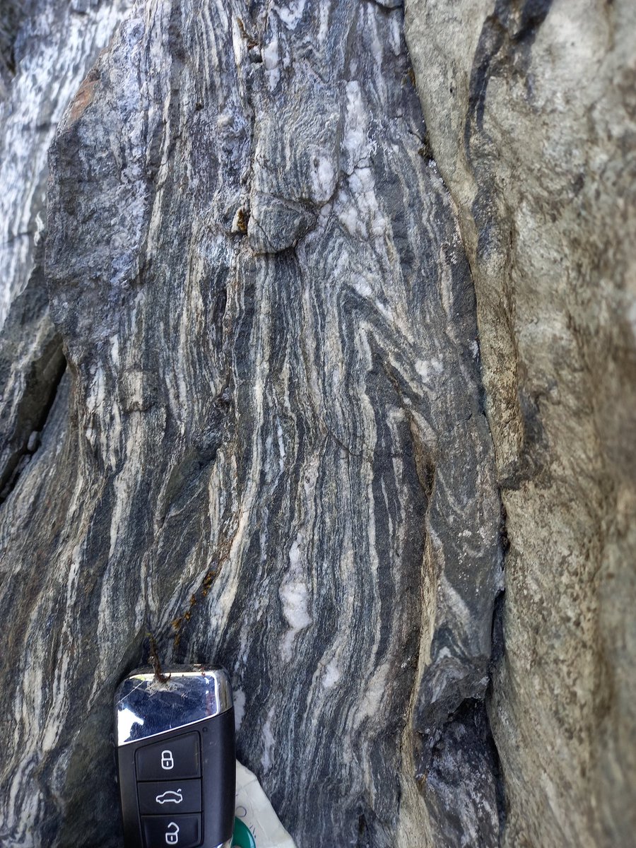 Sascha Zertani tweet media