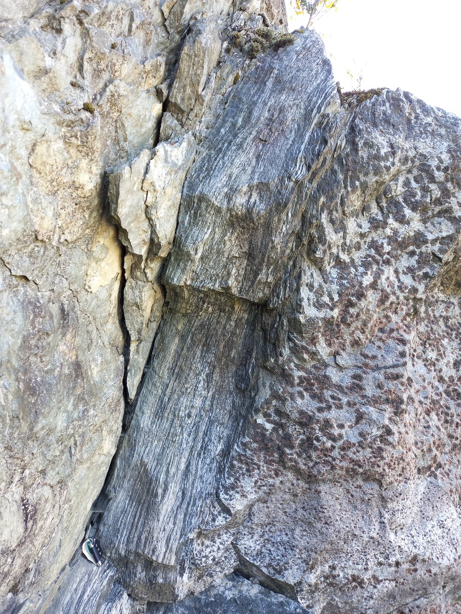 Sascha Zertani tweet media