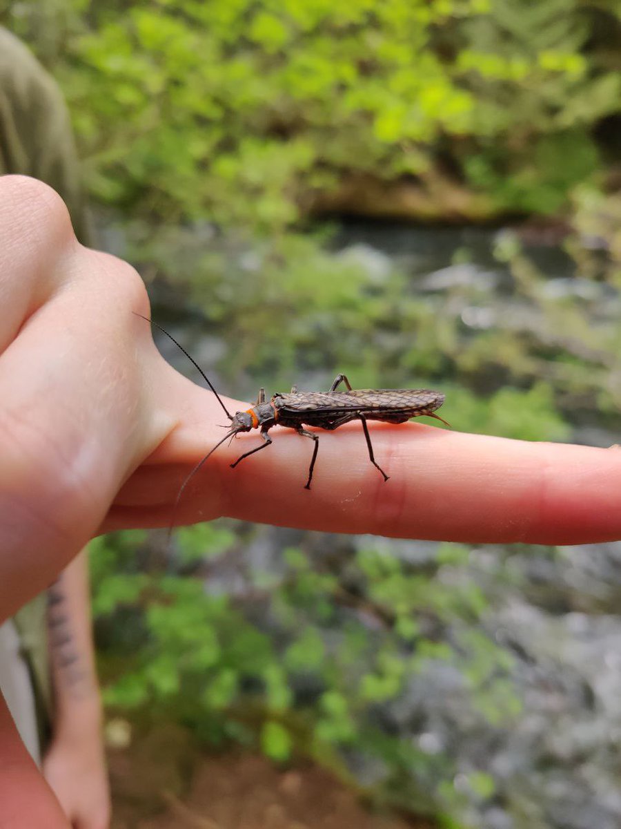 Echo River tweet media