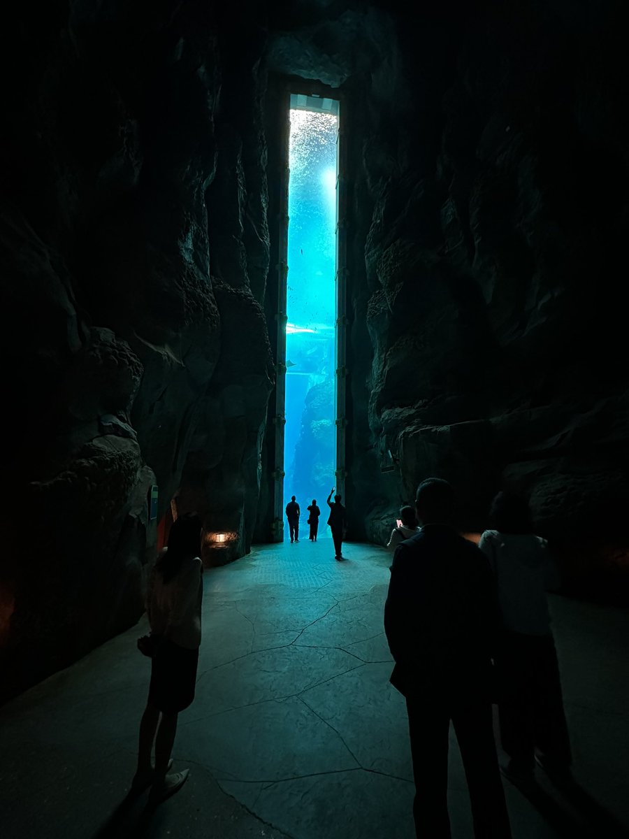 The scale of <a href="/SeaWorld/">SeaWorld</a> in Abu Dhabi is insane. Photos don’t do it justice.