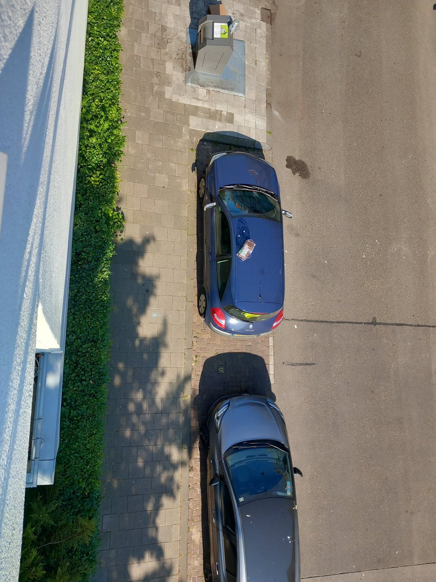 GvanGeffen's tweet image. Het is mooi weer dus er staat weer vogelkooi op mijn auto met zangvogeltje van buren. Die oefent stembanden. Telkens als iets rumoerig langskomt (auto, scooter ed) wil hij er bovenuit zingen. Prachtig! Surinaamser kan het niet... #spaarndammerbuurt