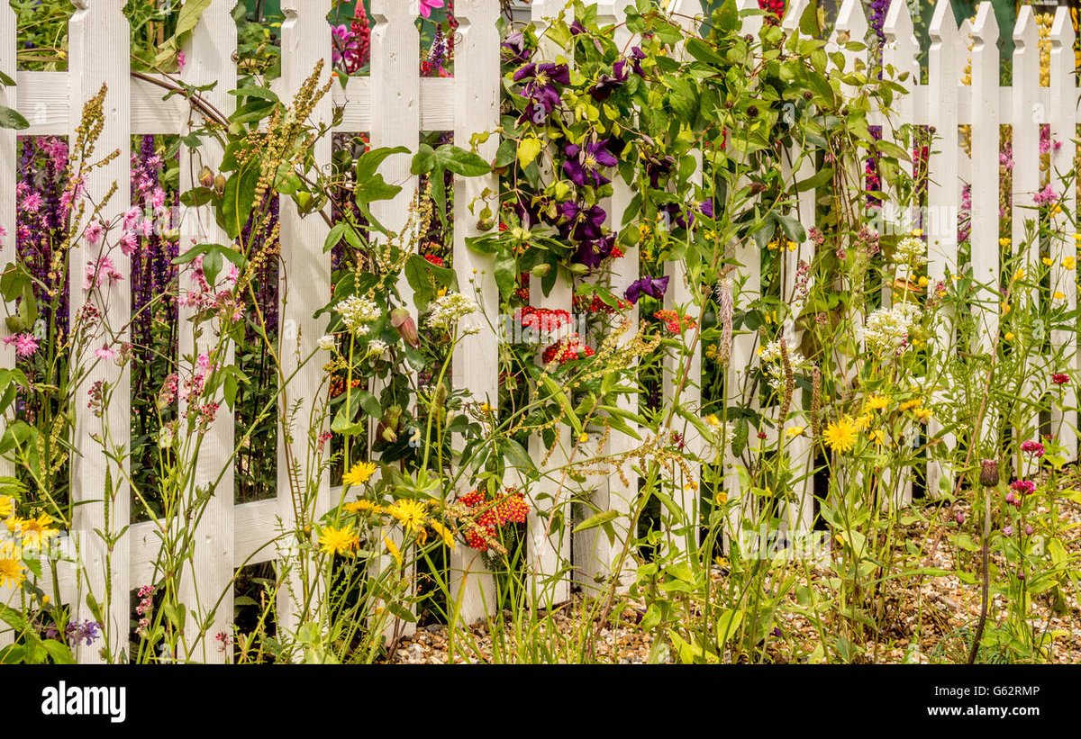 Even in a garden
Surrounded
By a #fence
Weeds will grow.
Maintenance is necessary
No matter what &
Where you sow.
#vss365
