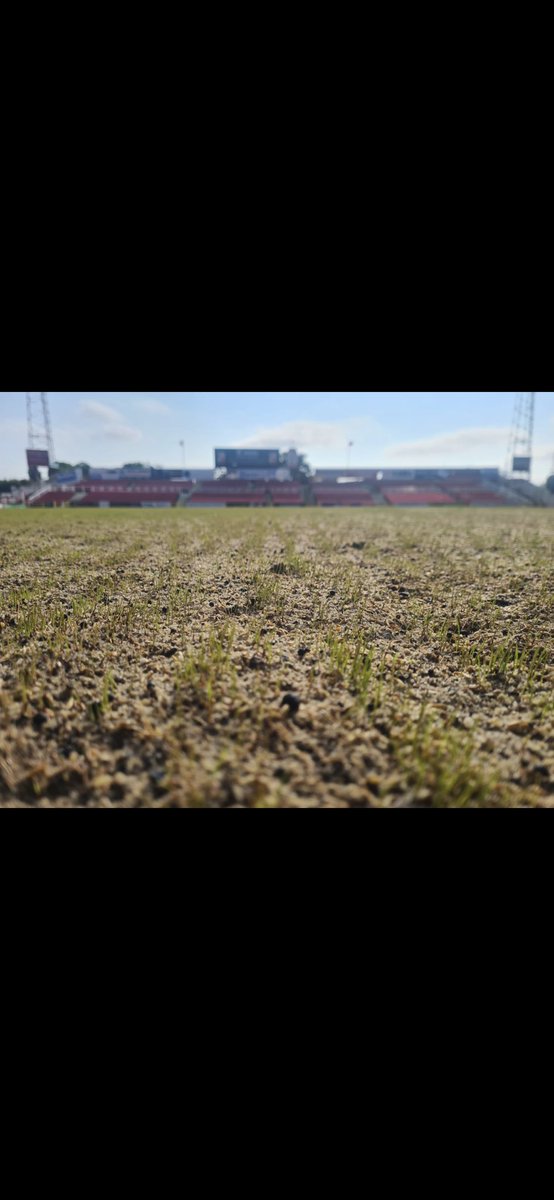 Day 18

An update report from the contractors showing the new drains and some good germination coming through