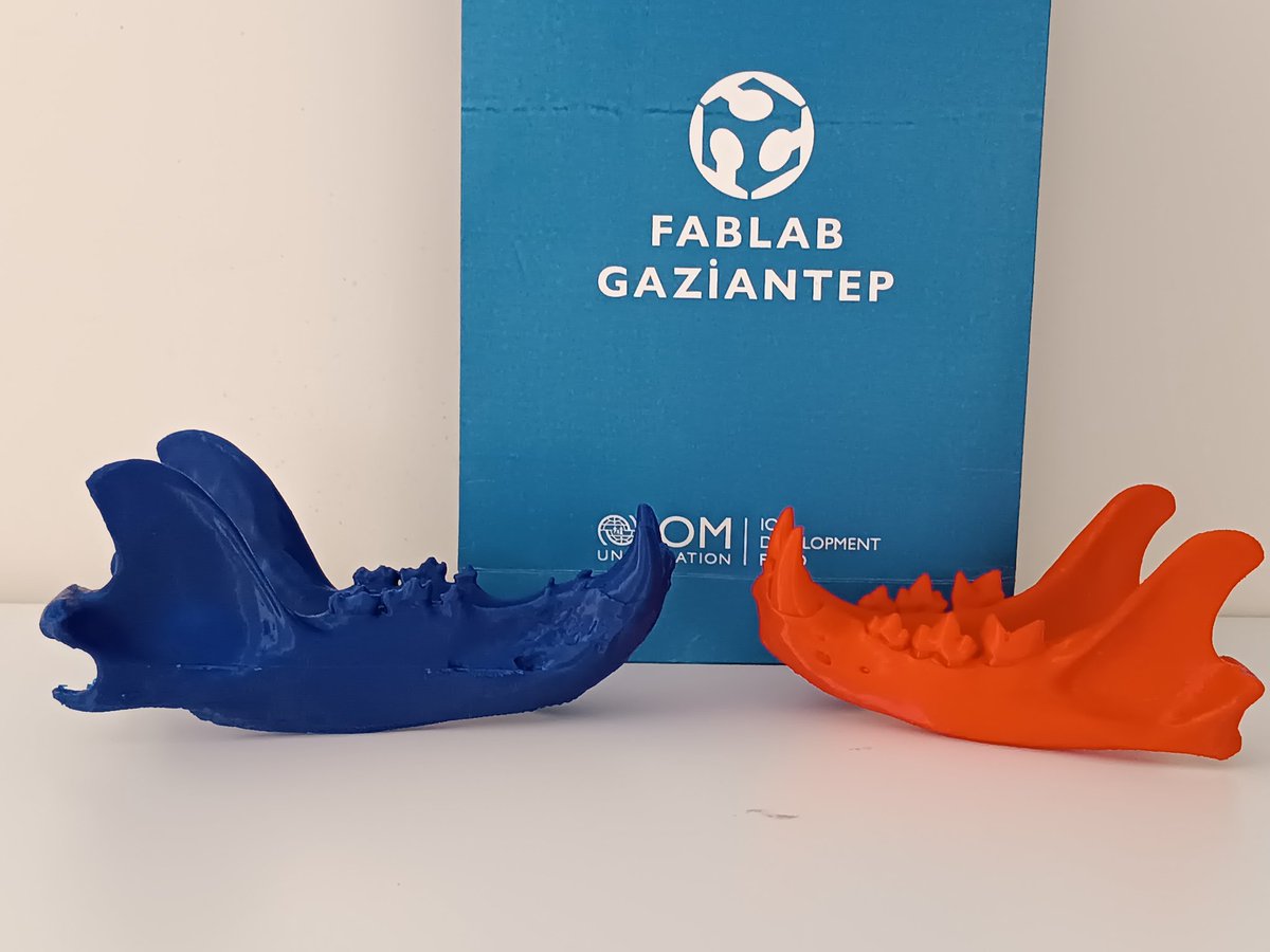 We thank GAUN Fab-Lab for 3D prints. We hope to work together in the following processes. The blue one is a bear and the red one is a lion. @deryasili @zooarch @fablab