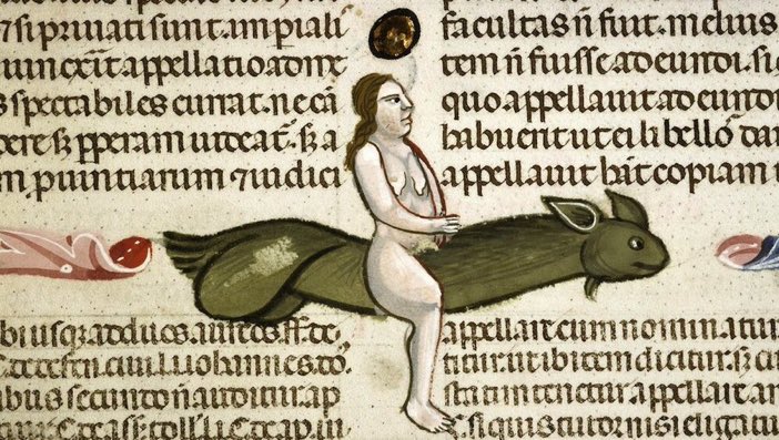 MadameGilflurt's tweet image. In the 14th century, there was only one way to travel…