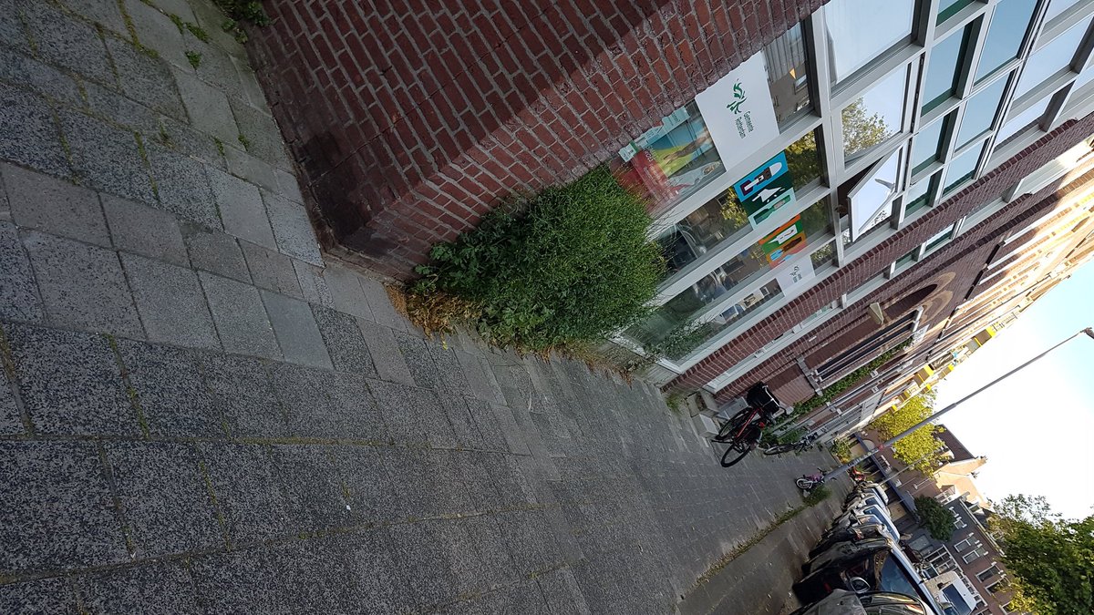 KarinPadmos's tweet photo. Voorbereidingen wij gaan weer #tegelswippen #tegelseruit #groenerin #groennoord #bewonersinitiatief #wijkraadbbl #liskwartier en #wijkhub.25m2 extra groen.
#zelfbeheer @Stadsbeheer010 en @robert_willemse #thankyou https://t.co/jIPNBL5KuW