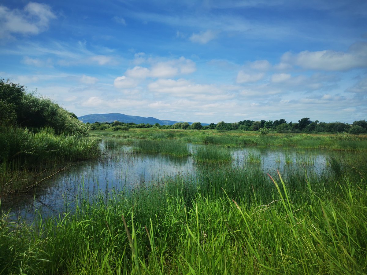 Rebecca Brown tweet media