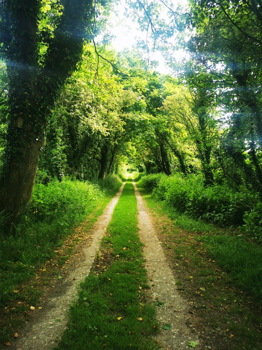 Rebecca Brown tweet media