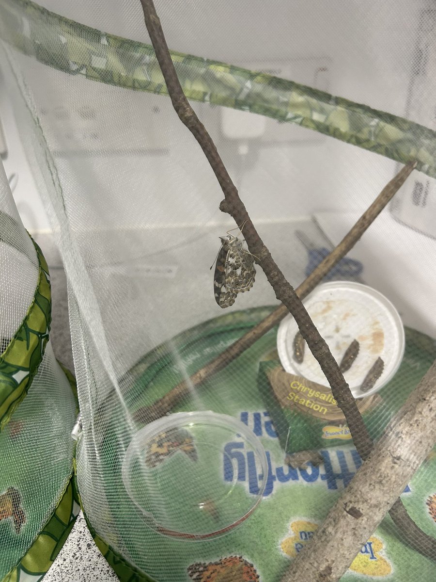 P3G’s latest additions!