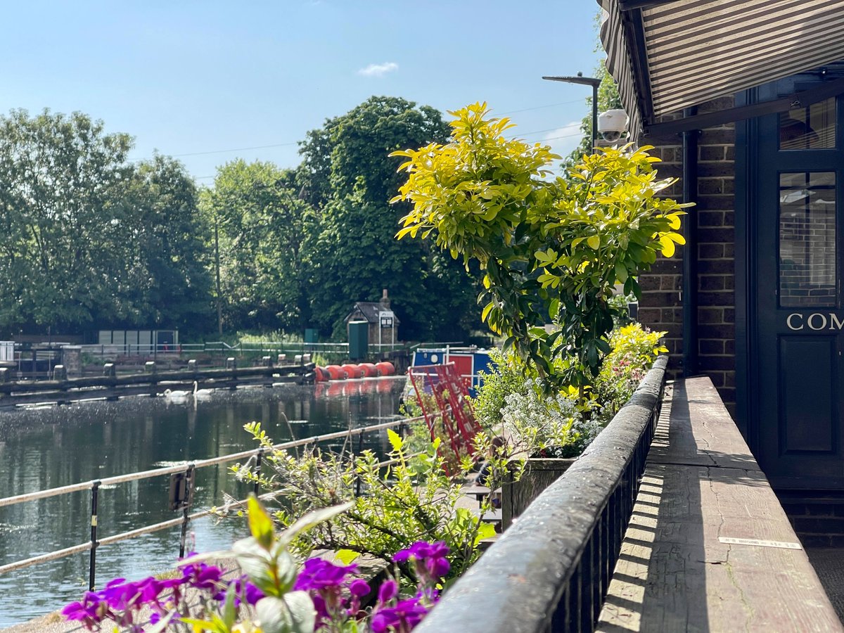 ELWaterworks's tweet photo. It's #GrowingforWellBeing Week! @ThePrincess_E5 We've planted a range of species to bring the joy of #bees, #butterflies, and #moths to the #community.
We'll have an extensive flower meadow in our wild park to enjoy when our park opens! ๐๐ผ๐ฆ๐
Photo @jonathanperugia https://t.co/6QTqGqhDDM