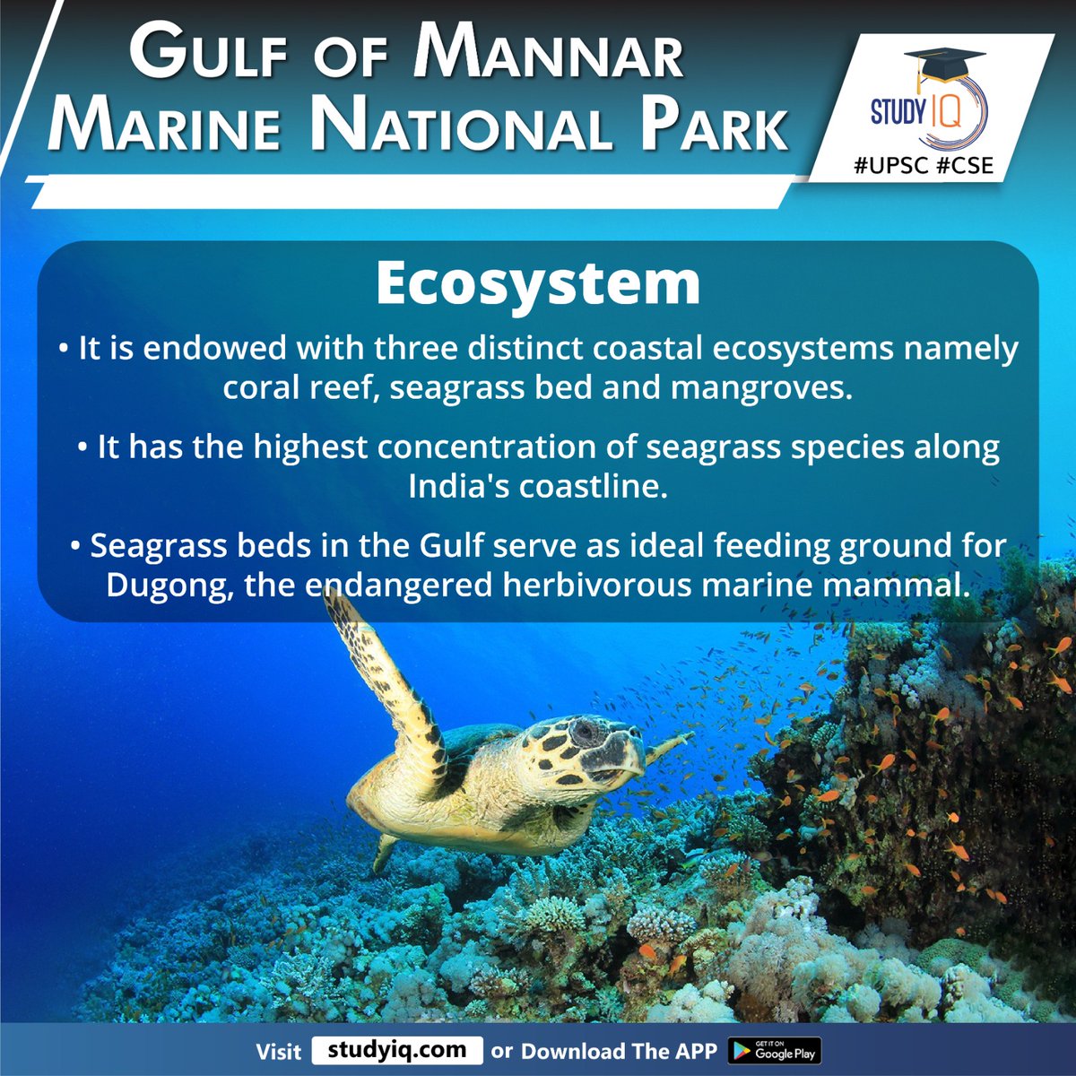 Gulf of Mannar Marine National Park

#gulfofmannar #marinenationalpark #gulfofmannarmarinenationalpark #unesco #upsc #cse #whyinnews #biospherereserve #india #ramsarsite #coastalecosystems #coralreef #mangraves #indiascoastline #marinemammal #ips #ias