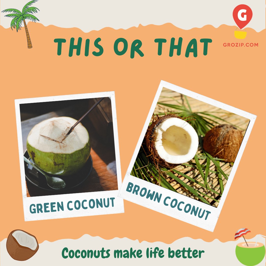 Tender Green Coconuts or Brown Coconut? 
Comment down your favorite one. Shop both varieties of Coconuts from #grozip.
#COCONUT #fruits #vegetables #grocery #onlinestore #onlinedelivery #healthylifestyle