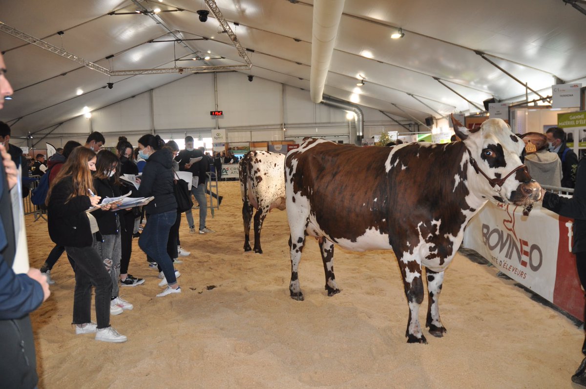 Tech Elevage tweet media