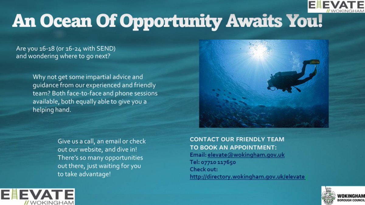 ElevateHub's tweet photo. Wanting to dive into a new job or training opportunity? Elevate has your back, and we can give you all kinds of support and guidance in finding an opportunity or upskilling to get into that dream position. If you want to know more, get in touch! https://t.co/9uKXBoQ4lb